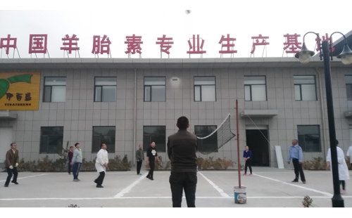 排球傳溫情，員工齊聚心