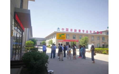 江南大學、寧夏大學課題組專家蒞臨伊百盛調(diào)研交流